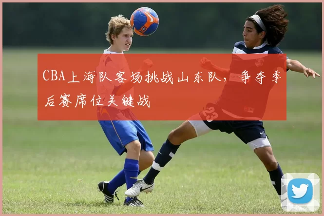 CBA上海队客场挑战山东队，争夺季后赛席位关键战