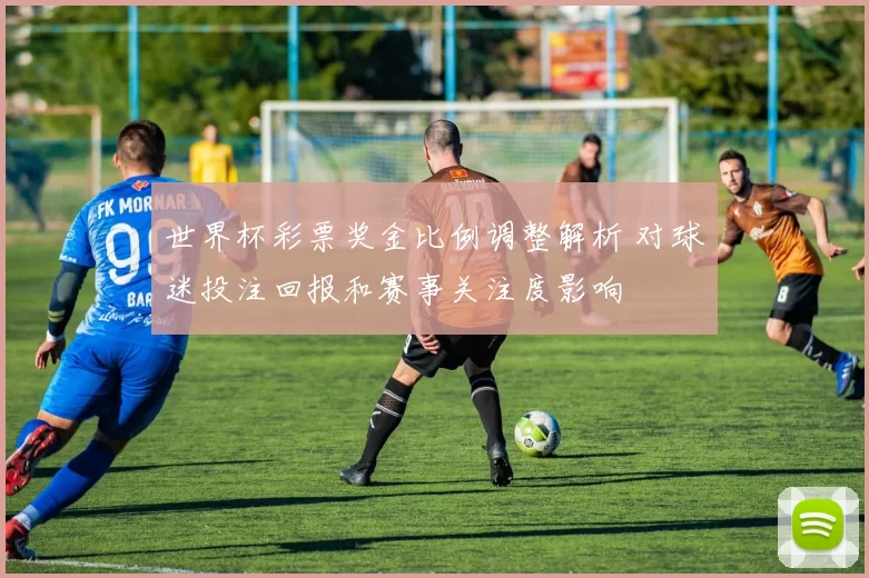 世界杯彩票奖金比例调整解析 对球迷投注回报和赛事关注度影响