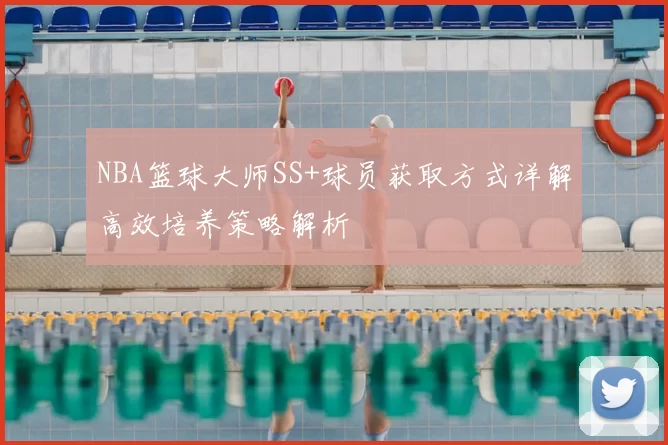 NBA篮球大师SS+球员获取方式详解高效培养策略解析