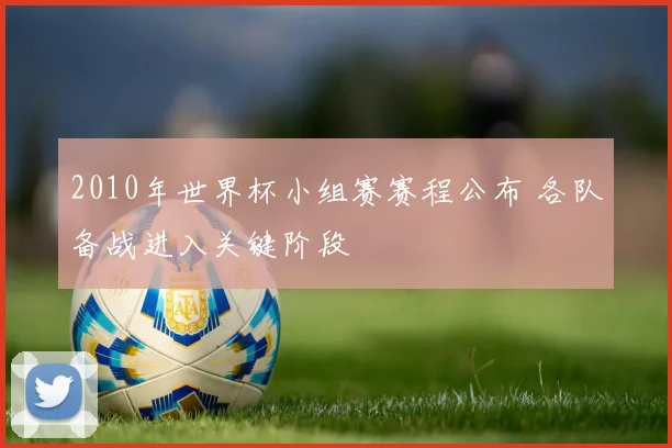 2010年世界杯小组赛赛程公布 各队备战进入关键阶段