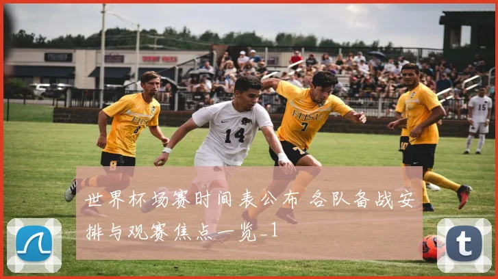 世界杯场赛时间表公布 各队备战安排与观赛焦点一览_1
