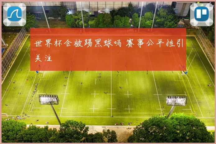 世界杯会被踢黑球吗 赛事公平性引关注