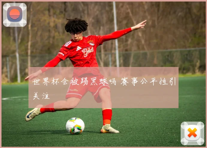 世界杯会被踢黑球吗 赛事公平性引关注