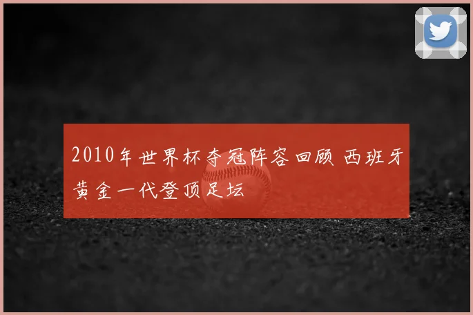2010年世界杯夺冠阵容回顾 西班牙黄金一代登顶足坛